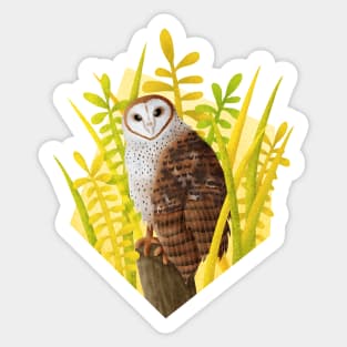 Barn Owl (Tyto alba) Sticker